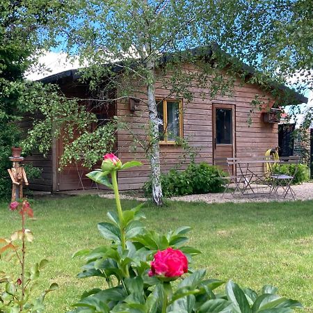 Chalet Proche Orleans Centre Saint-Jean-le-Blanc Zewnętrze zdjęcie